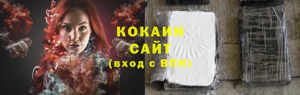 2c-b Гусев