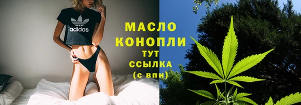 2c-b Гусев
