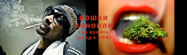 твердый Гусь-Хрустальный