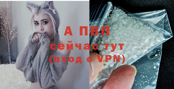 твердый Гусь-Хрустальный