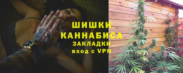 2c-b Гусев